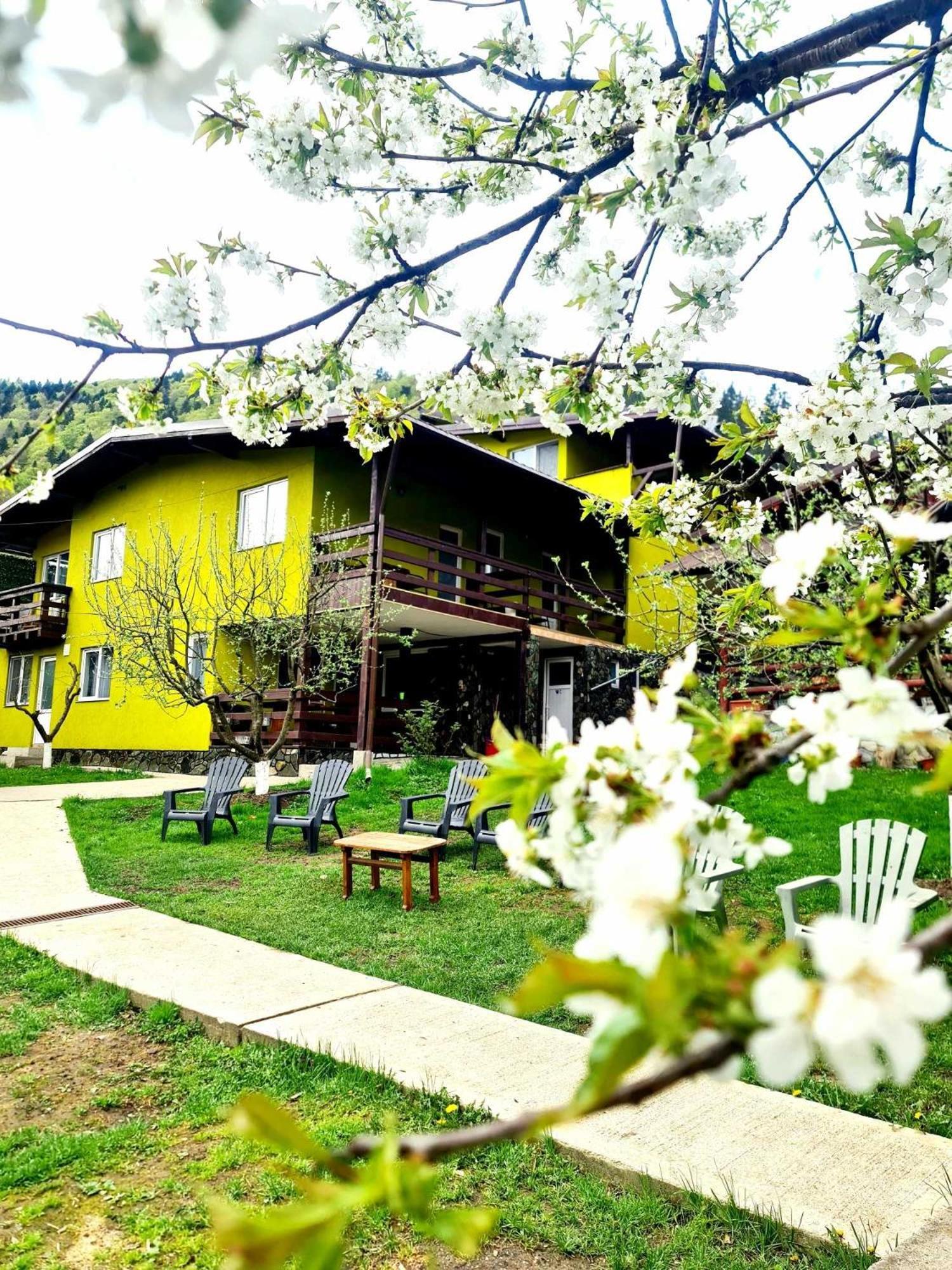 Vila Giulia فوينياسا المظهر الخارجي الصورة